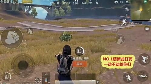 91欧美无掩体视频,揭秘真实生活瞬间